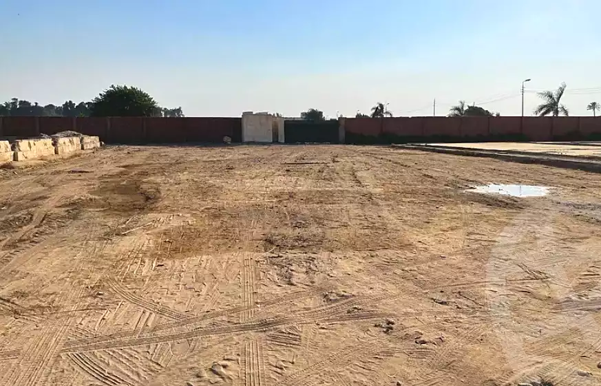 https://aqarmap.com.eg/ar/listing/7051838-for-rent-cairo-el-mansuriyyah