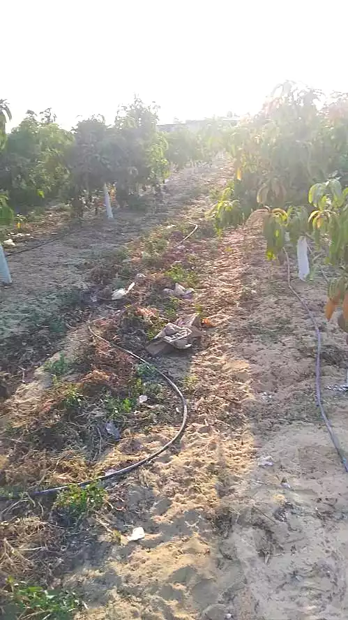 https://aqarmap.com.eg/ar/listing/7052854-for-sale-beheira-wadi-el-natrun