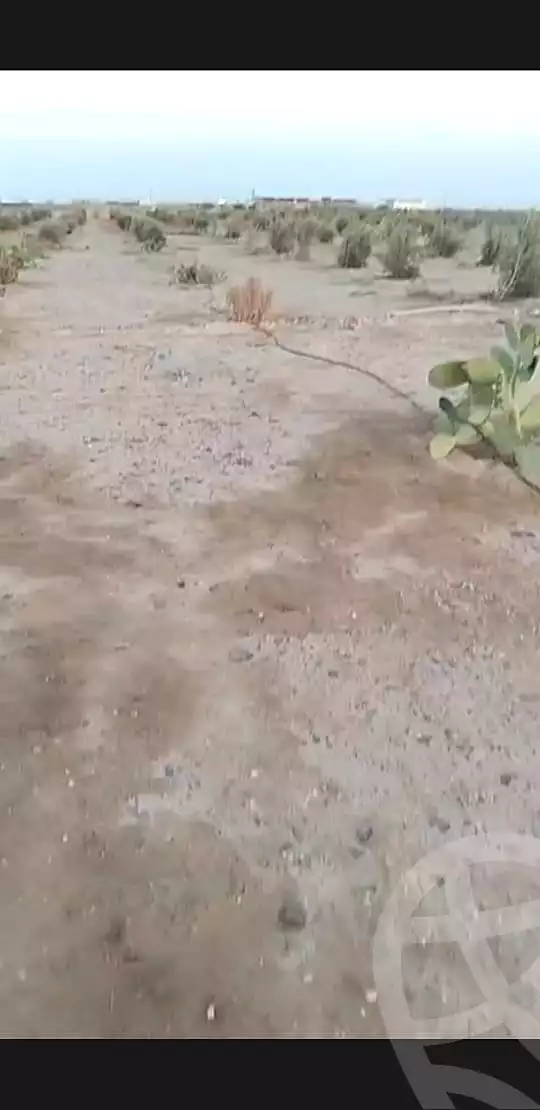 https://aqarmap.com.eg/ar/listing/7055468-for-sale-el-fayoum-asyut-rd