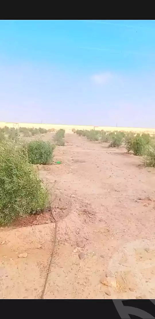 https://aqarmap.com.eg/ar/listing/7055468-for-sale-el-fayoum-asyut-rd