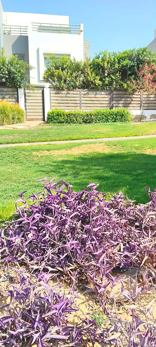 تاون هاوس بـ٥ غرف نوم في هايد بارك، صورة ١٥ من ٢٠