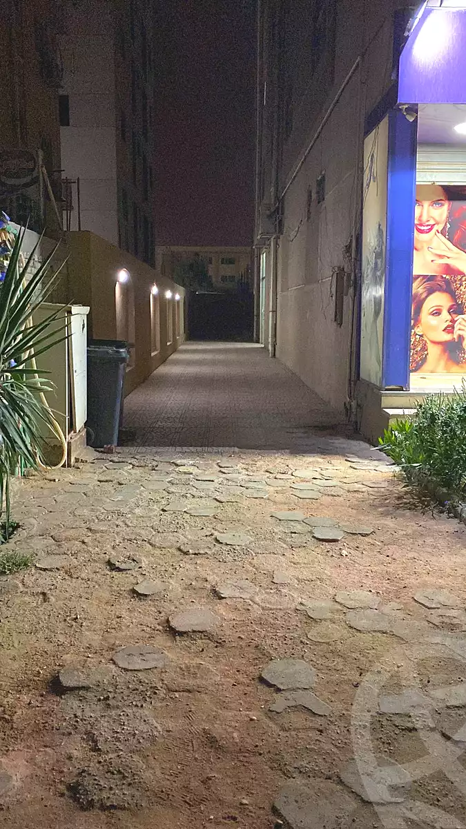 شقة بـ٣ غرف نوم في مدينة الفردوس، صورة ٤ من ٢١