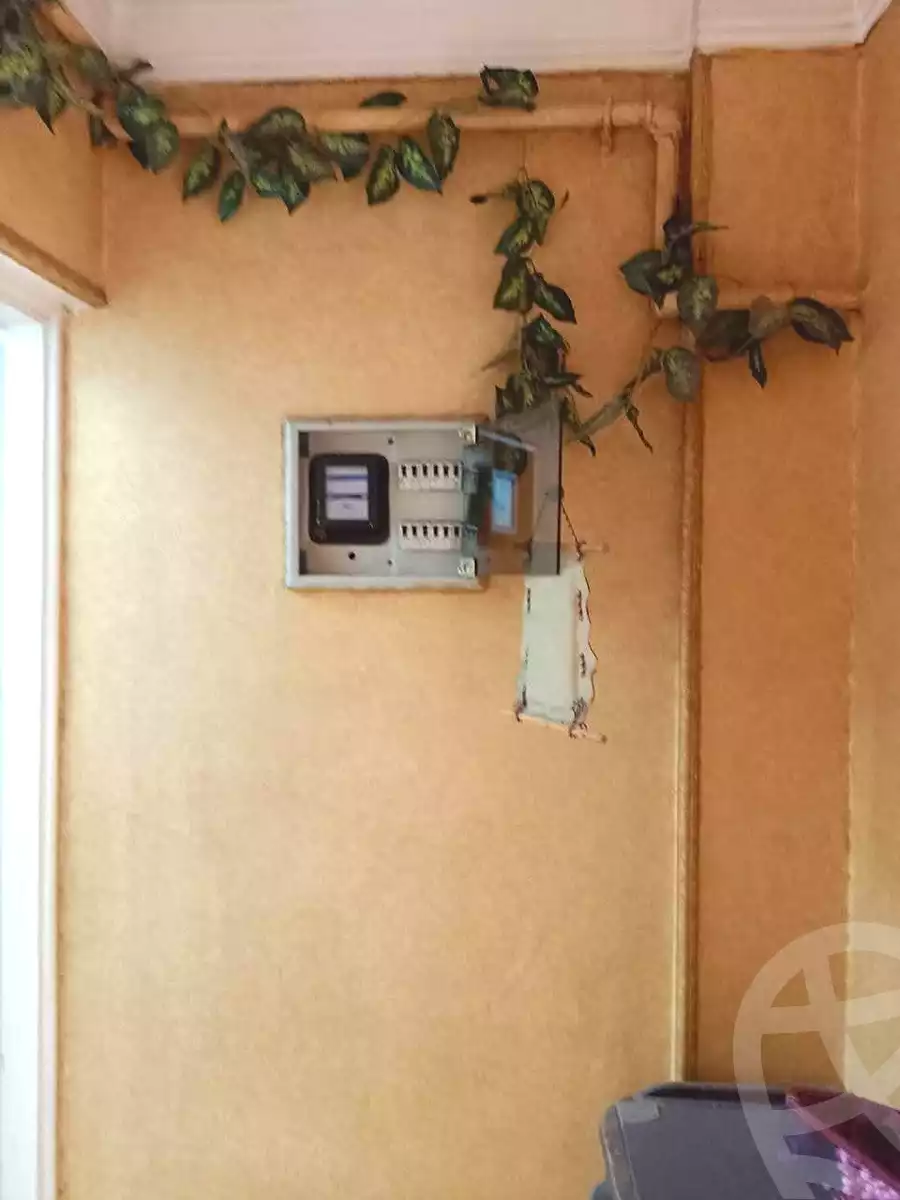 https://aqarmap.com.eg/ar/listing/7060515-for-sale-cairo-shoubra-jzyr-bdrn-al-masara-st