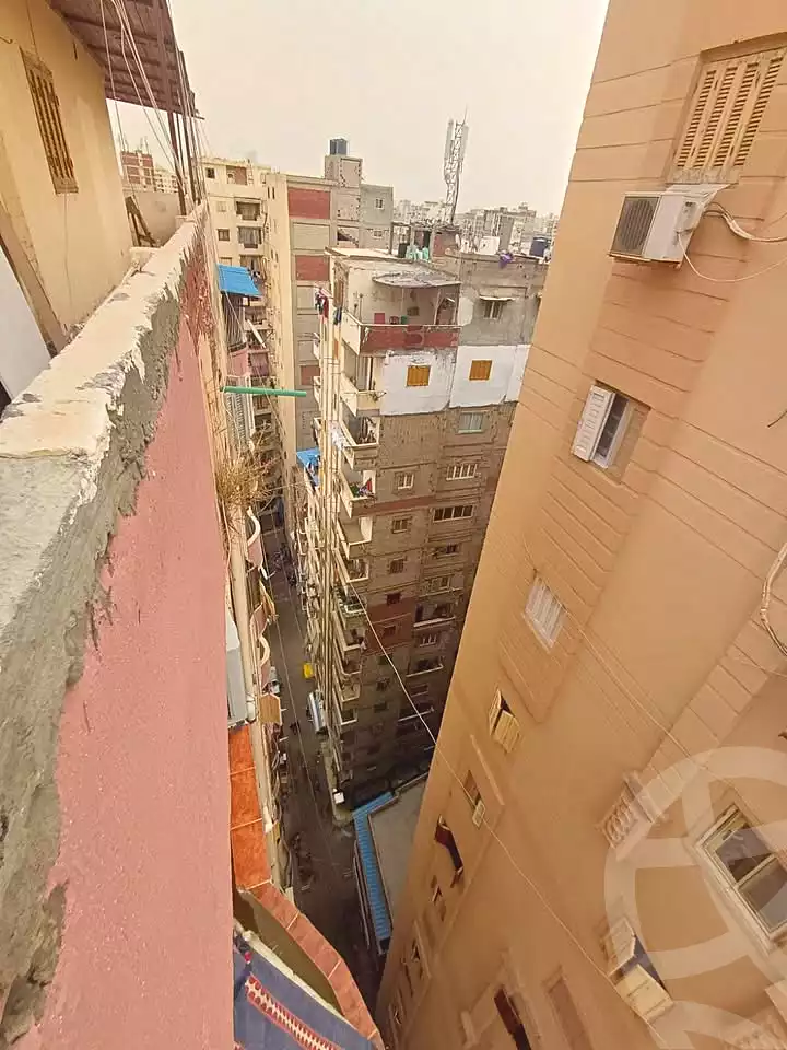 https://aqarmap.com.eg/ar/listing/7061339-for-sale-alexandria-miami