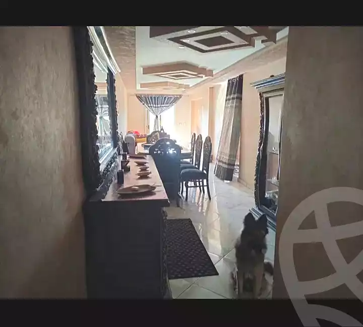 https://aqarmap.com.eg/ar/listing/7062346-for-sale-alexandria-el-mandara-anas-ibn-malik-st