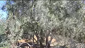 https://aqarmap.com.eg/ar/listing/7063408-for-sale-ismailia-el-qantara