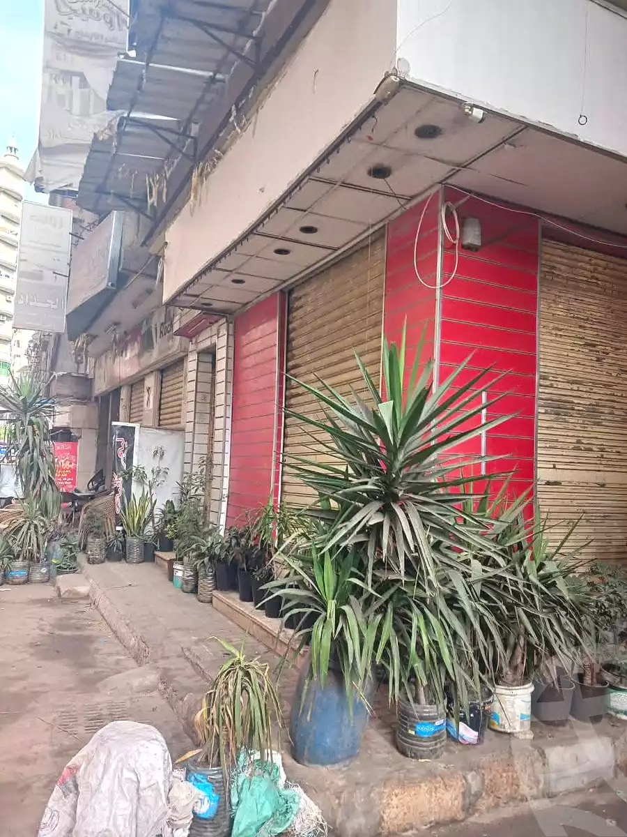 https://aqarmap.com.eg/ar/listing/7063726-for-sale-alexandria-el-asafra-l-sfr-qbly-el-tahrir-mosque-st