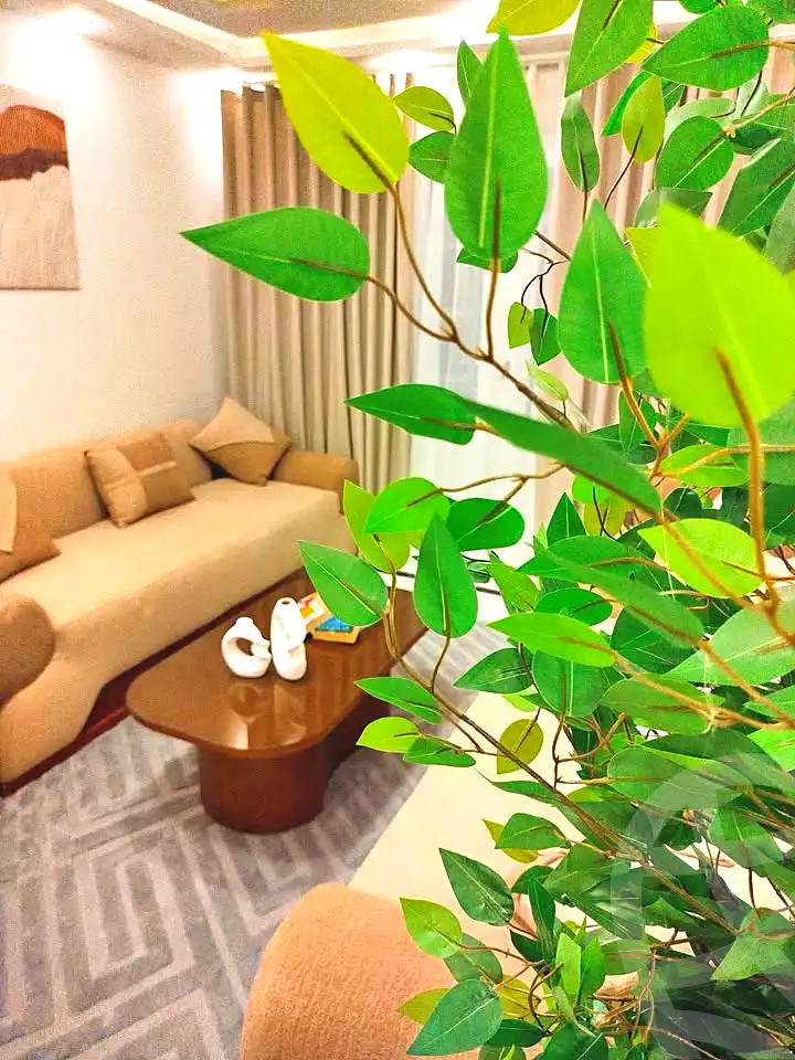 https://aqarmap.com.eg/ar/listing/7064042-for-sale-alexandria-al-agamy-shataa-el-nakheel