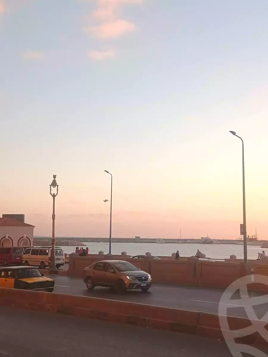 https://aqarmap.com.eg/ar/listing/7064377-for-rent-alexandria-sydy-bshr-tryq-ljysh