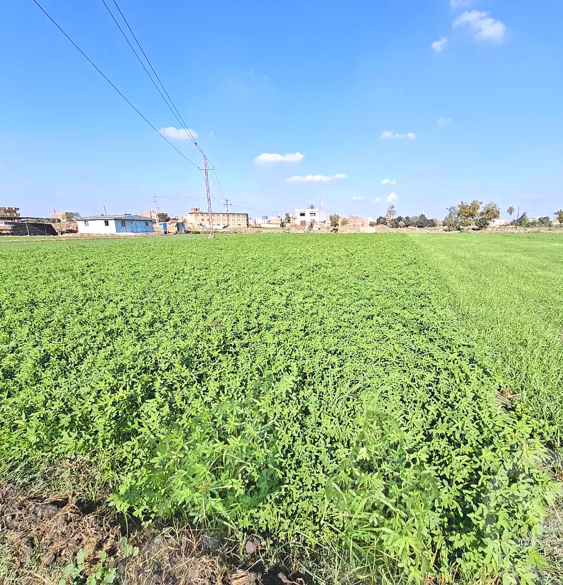 https://aqarmap.com.eg/ar/listing/7064389-for-sale-sharqia-faqous-el-sawaleh