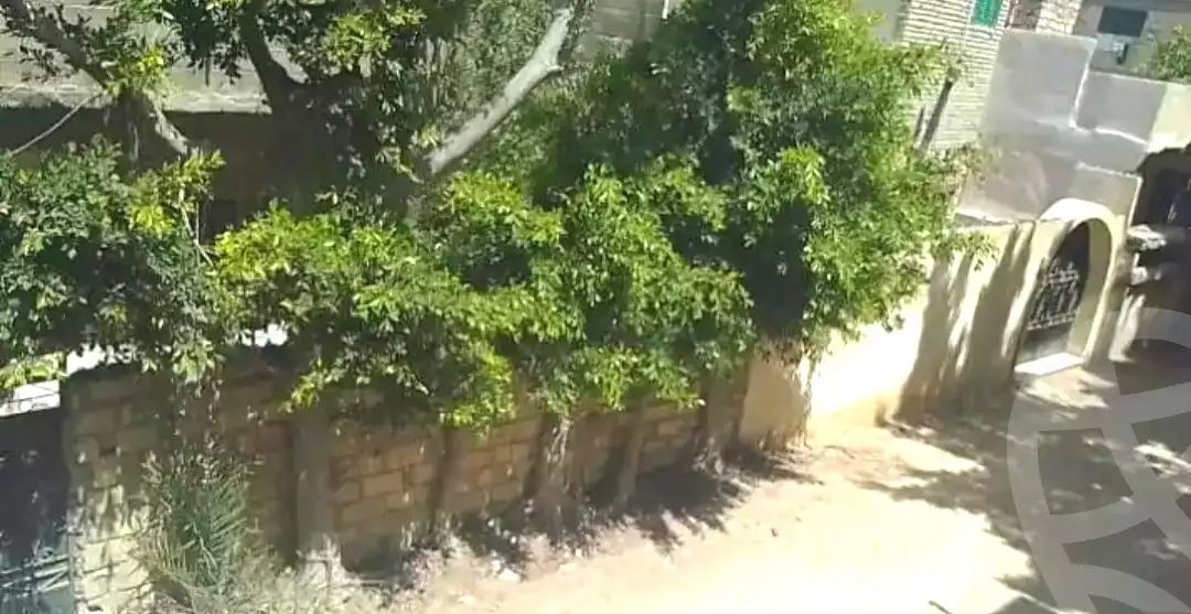 https://aqarmap.com.eg/en/listing/7064764-for-sale-alexandria-el-amreya