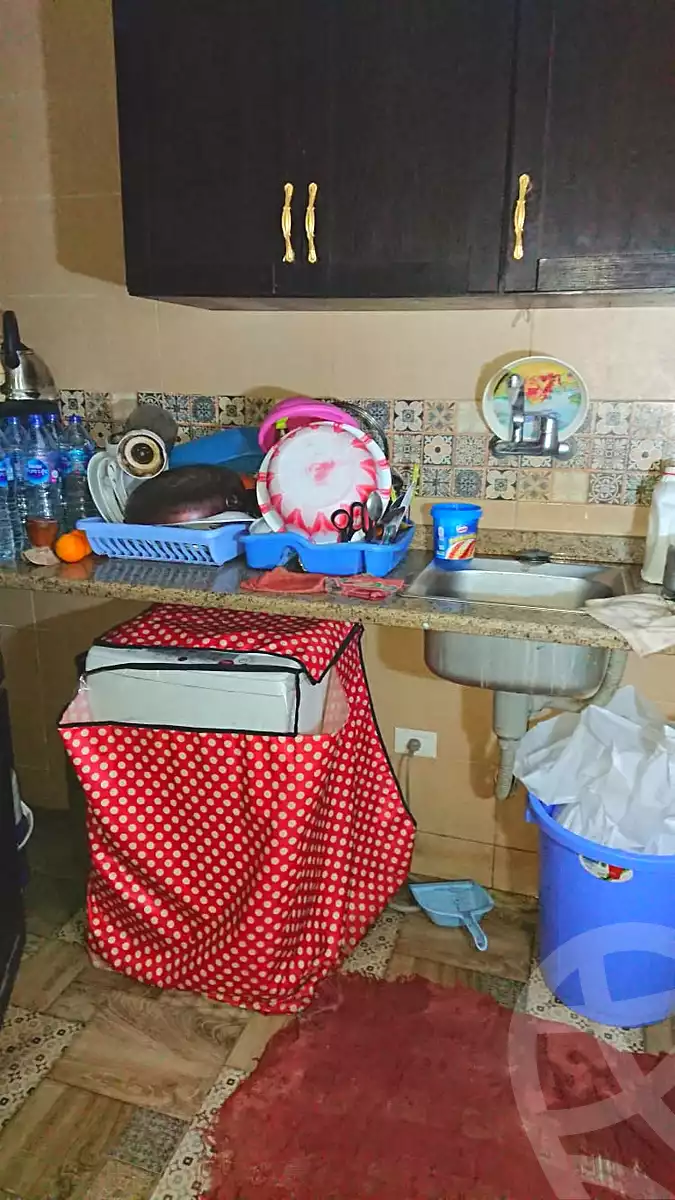 https://aqarmap.com.eg/en/listing/7068463-for-sale-cairo-new-cairo-third-settlement-lmstqbl-3