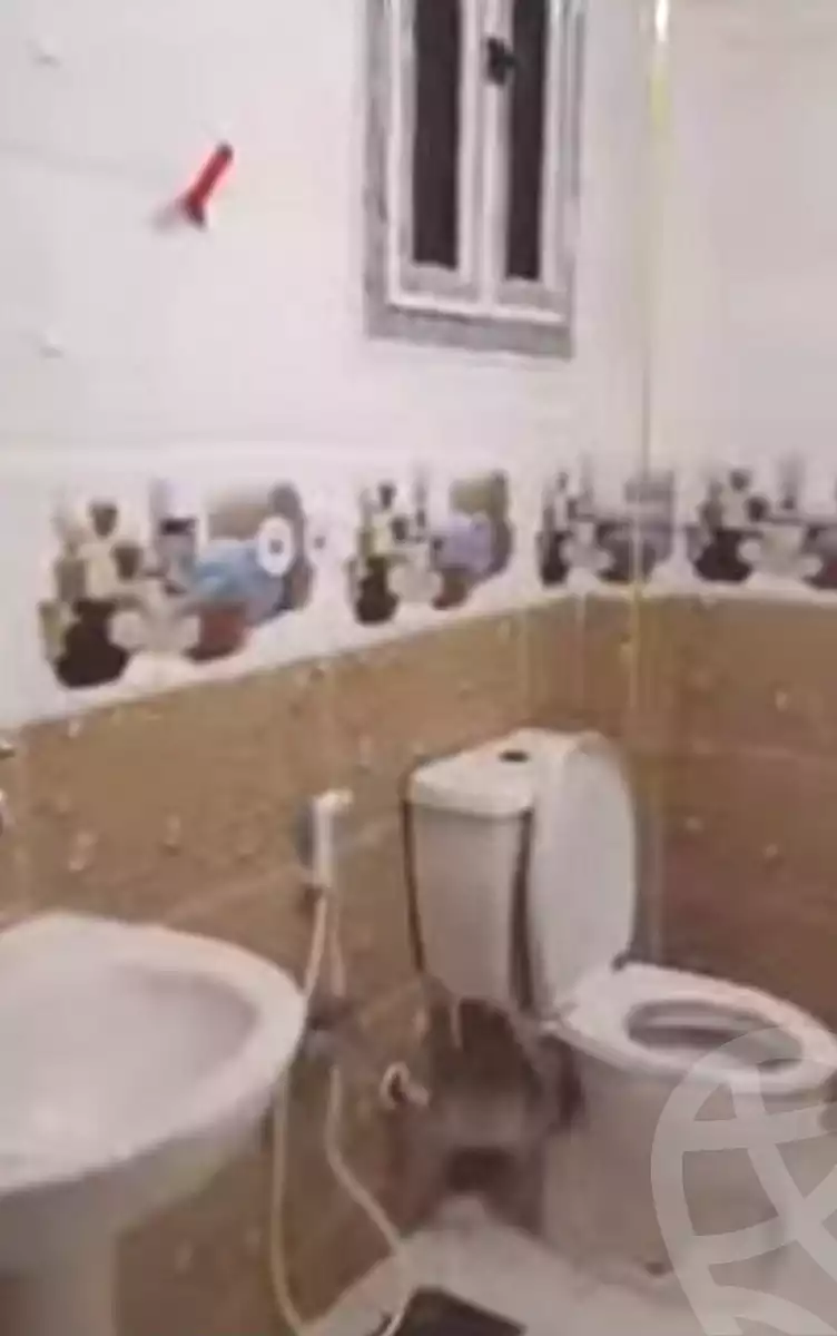 https://aqarmap.com.eg/ar/listing/7069140-for-rent-cairo-el-zaytun-hlmy-lzytwn