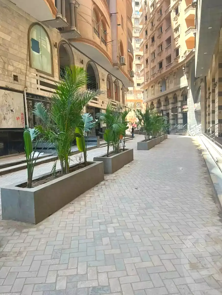 https://aqarmap.com.eg/en/listing/7074213-for-sale-cairo-elnozha-Streettt-27