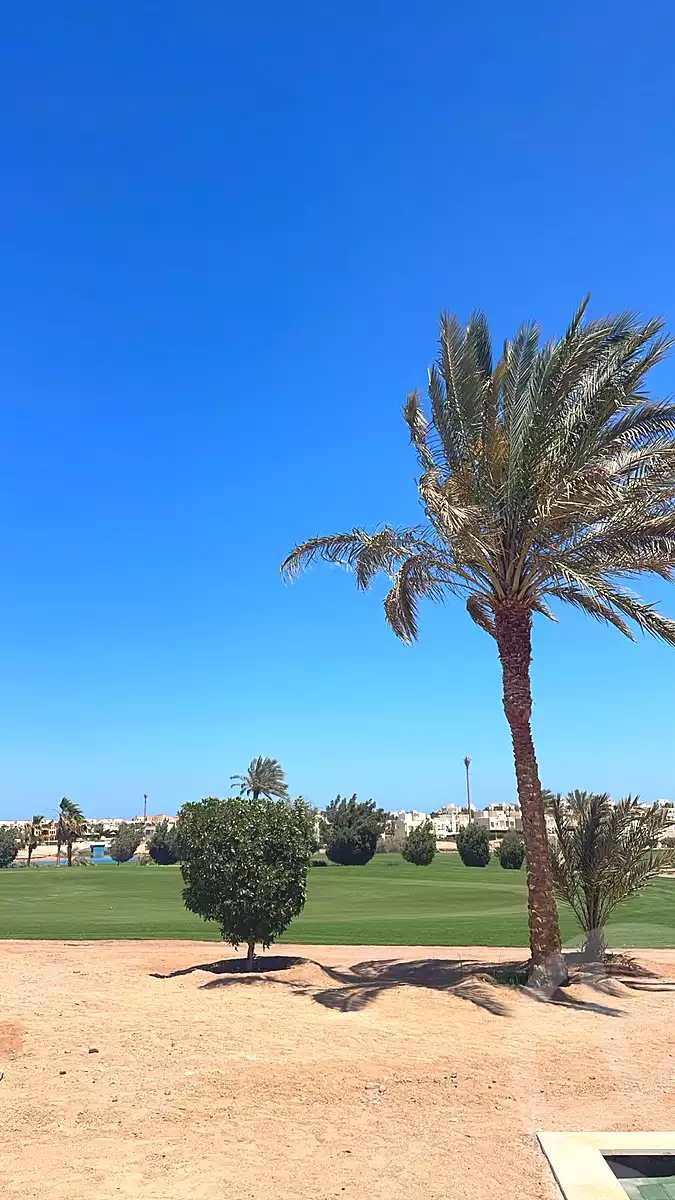 https://aqarmap.com.eg/ar/listing/6914652-for-rent-red-sea-marsa-allam-marsa-alam-resorts-las-cabanas