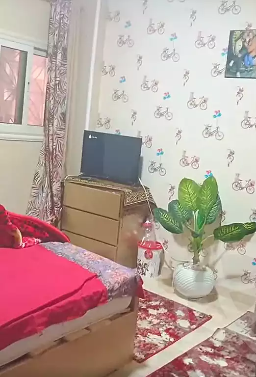 https://aqarmap.com.eg/en/listing/7079697-for-sale-cairo-el-haram-shareaa-khatem-el-morsalen