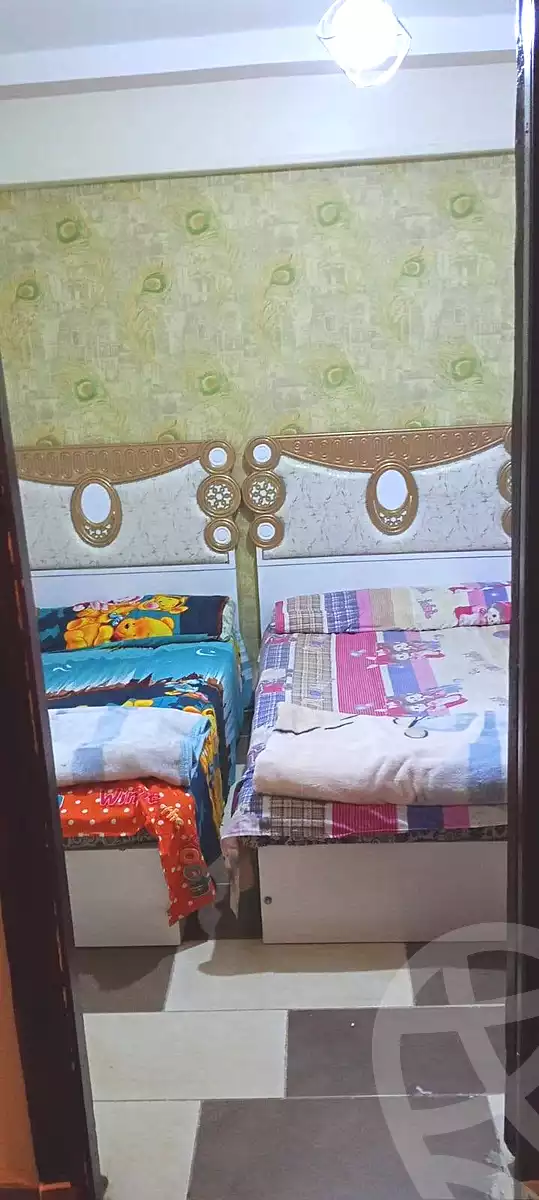 https://aqarmap.com.eg/en/listing/7081083-for-rent-alexandria-miami-khld-bn-lwlyd