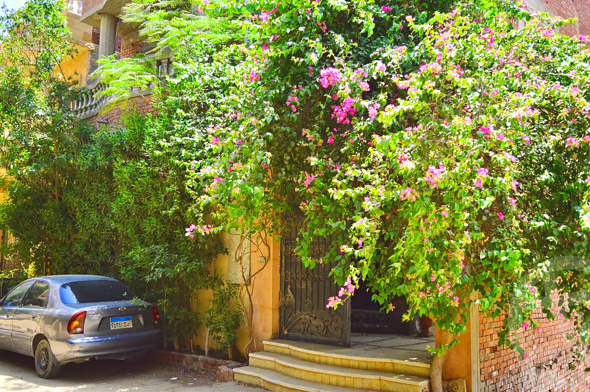 https://aqarmap.com.eg/ar/listing/7081562-for-rent-cairo-el-haram-mishaal