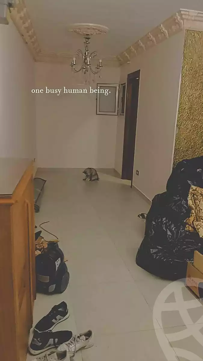 https://aqarmap.com.eg/ar/listing/7083629-for-rent-alexandria-sydy-bshr-sydy-bshr-bhry