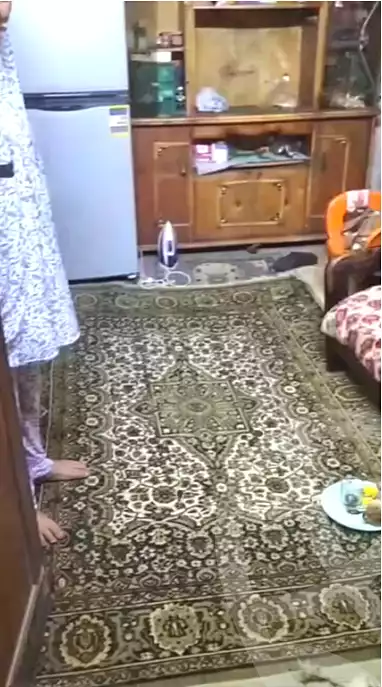 https://aqarmap.com.eg/en/listing/7085724-for-sale-cairo-el-sayyeda-zeinab