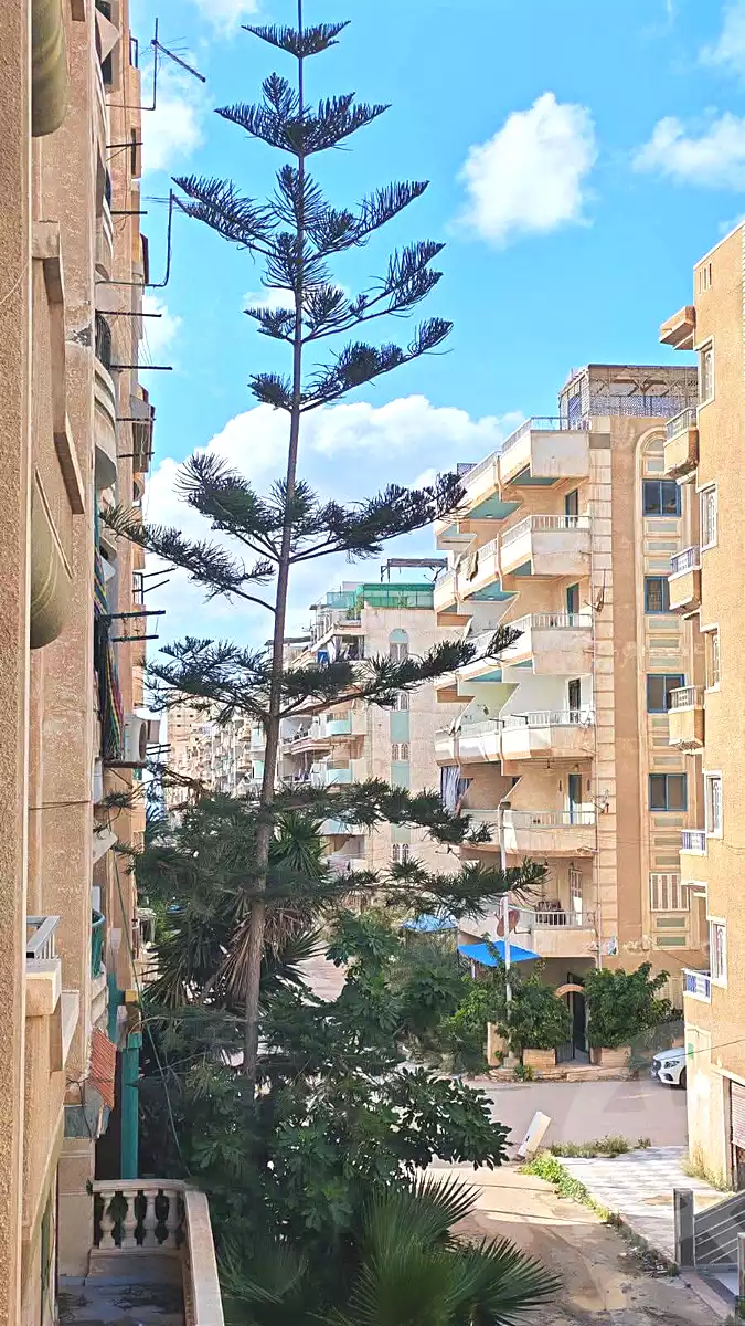https://aqarmap.com.eg/ar/listing/7089773-for-sale-alexandria-al-agamy-shataa-el-nakheel