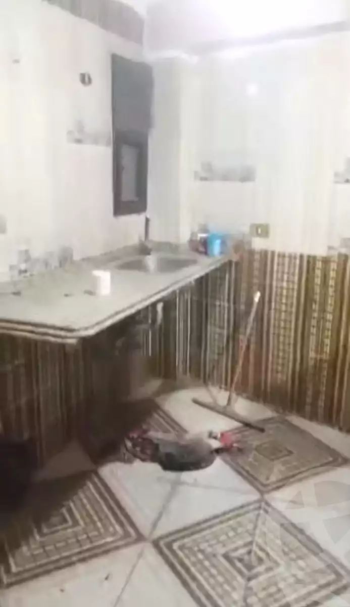 https://aqarmap.com.eg/ar/listing/7091203-for-rent-cairo-el-zaytun-hlmy-lzytwn