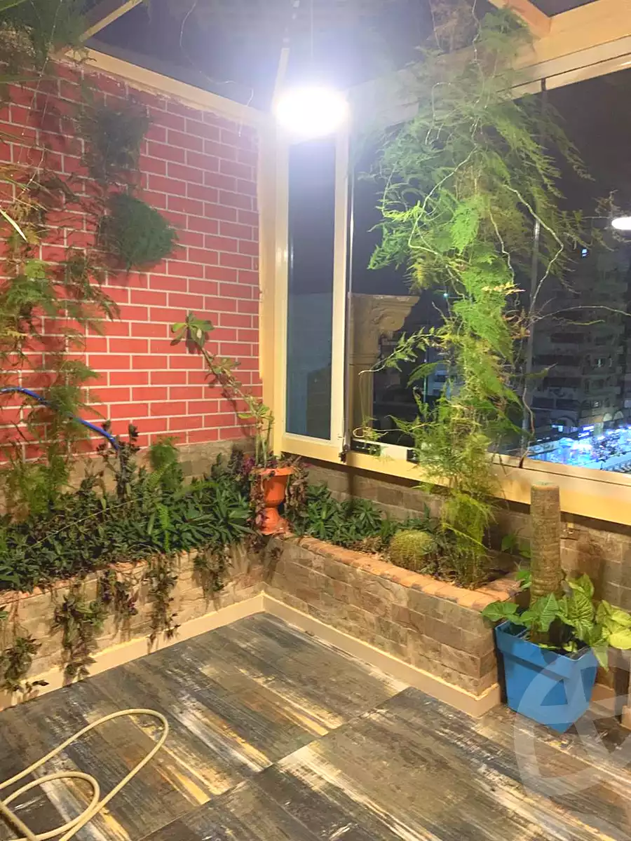 https://aqarmap.com.eg/ar/listing/7092151-for-rent-ismailia-ismailia-city-ismailia-city