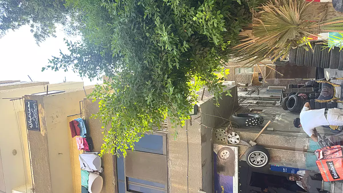 https://aqarmap.com.eg/en/listing/6927490-for-sale-cairo-helwan-mohamed-sayed-ahmed-st