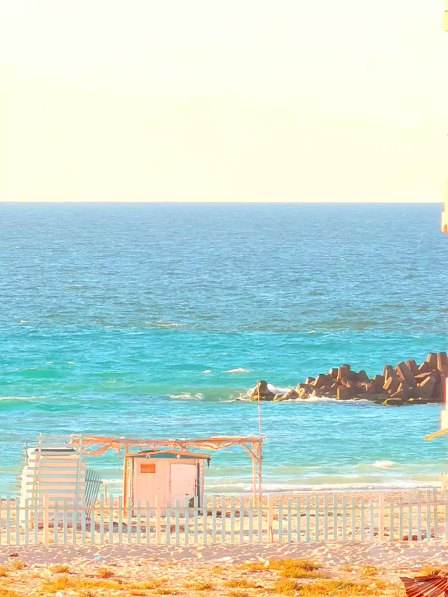 https://aqarmap.com.eg/en/listing/7100263-for-sale-alexandria-al-agamy-shataa-el-nakheel