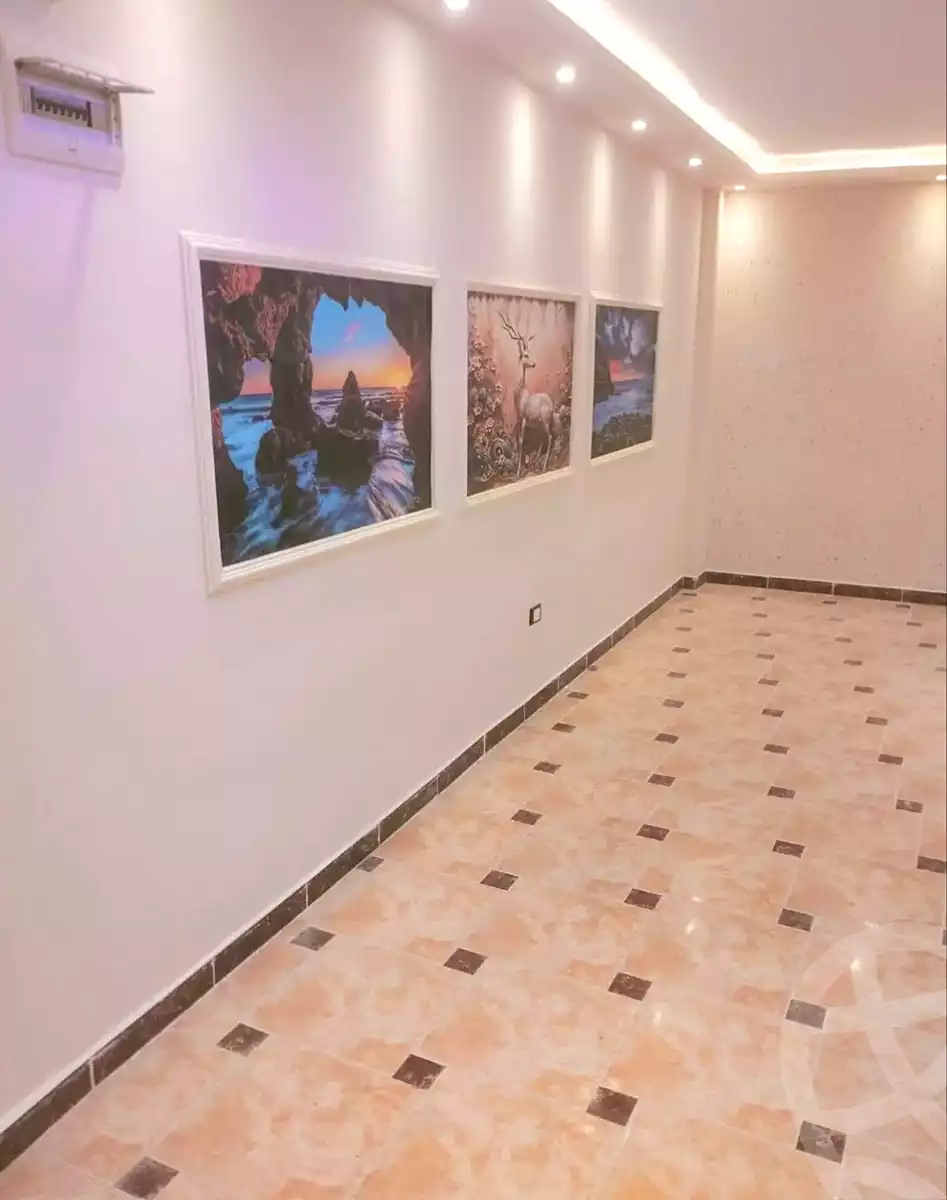 https://aqarmap.com.eg/ar/listing/7101023-for-sale-alexandria-lsywf-el-falki-street-16-el-eslah