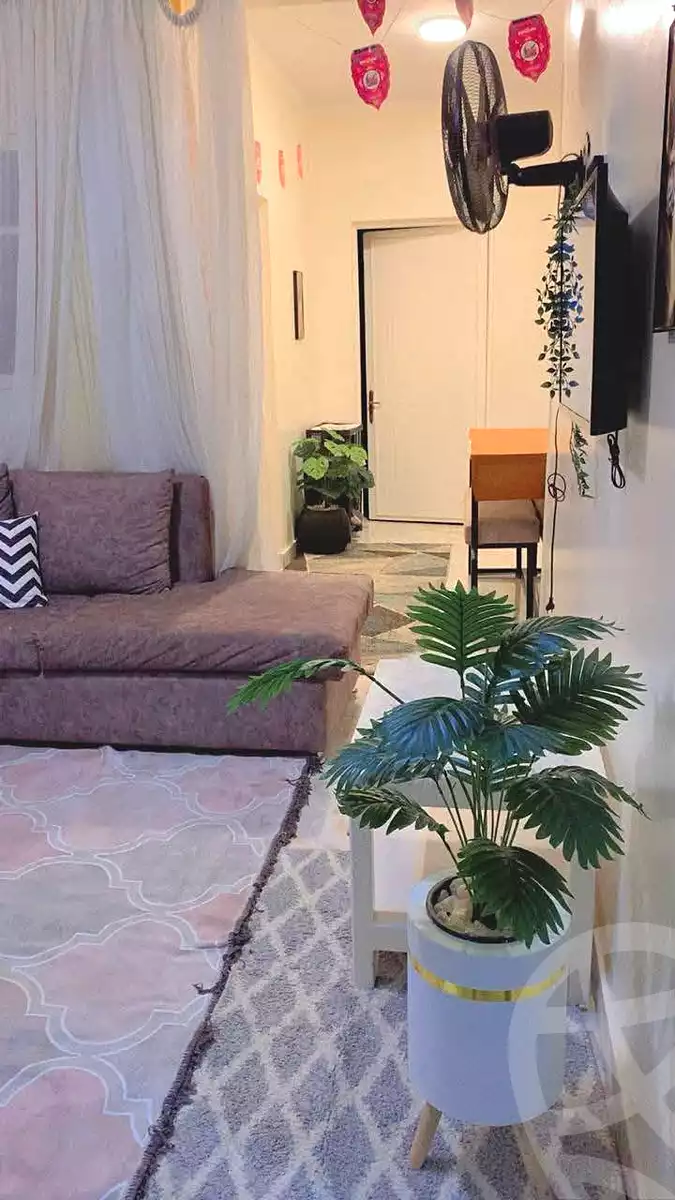 https://aqarmap.com.eg/en/listing/7102026-for-sale-cairo-helwan-helwan-el-sharkeya-ryad-pasha-st