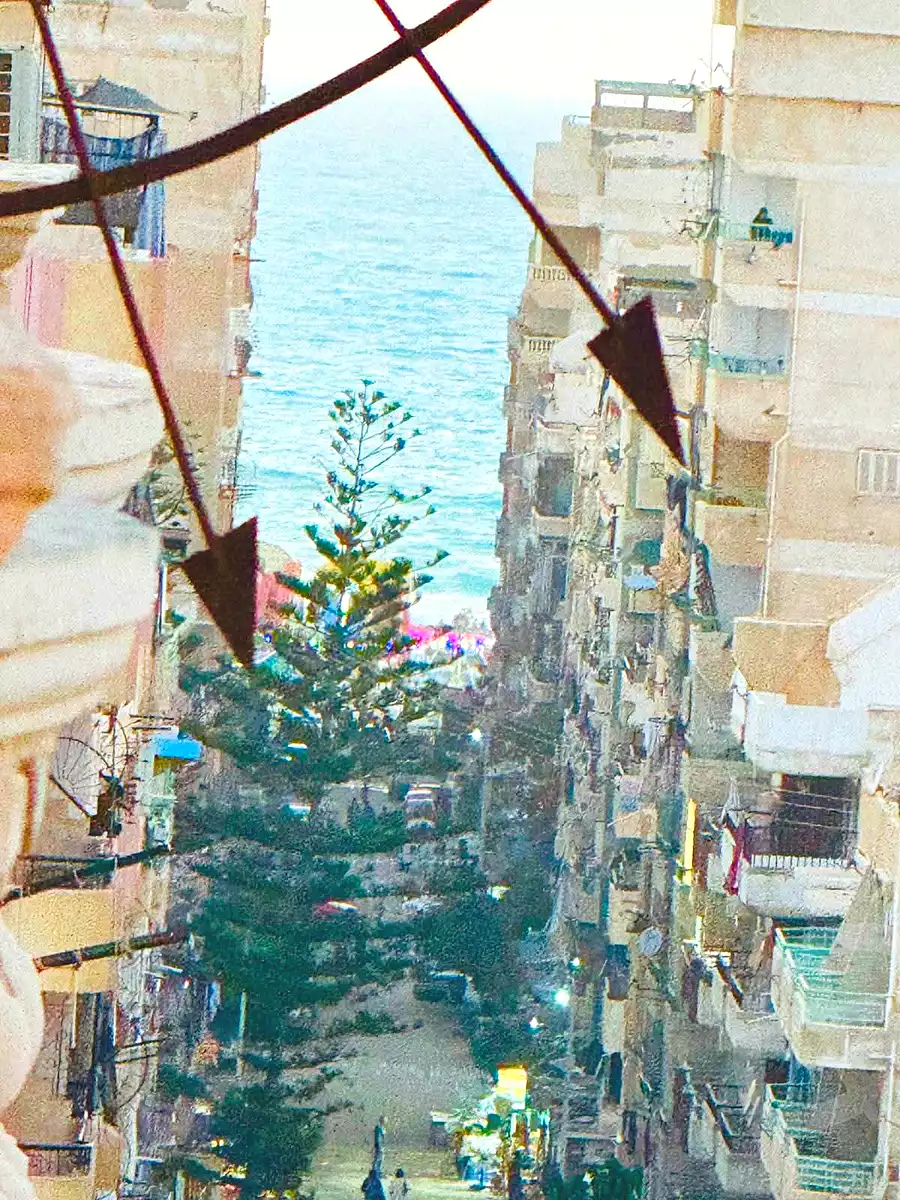 https://aqarmap.com.eg/ar/listing/7103054-for-sale-alexandria-al-agamy-shataa-el-nakheel