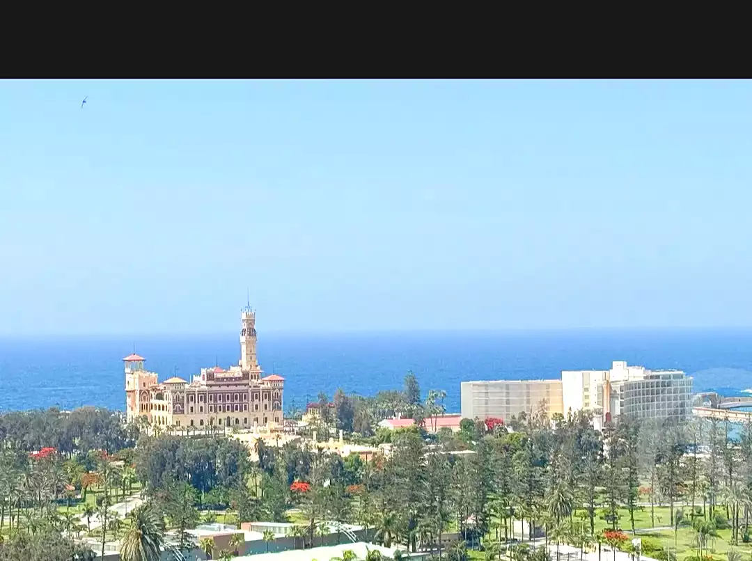 https://aqarmap.com.eg/ar/listing/7104001-for-sale-alexandria-el-montazah
