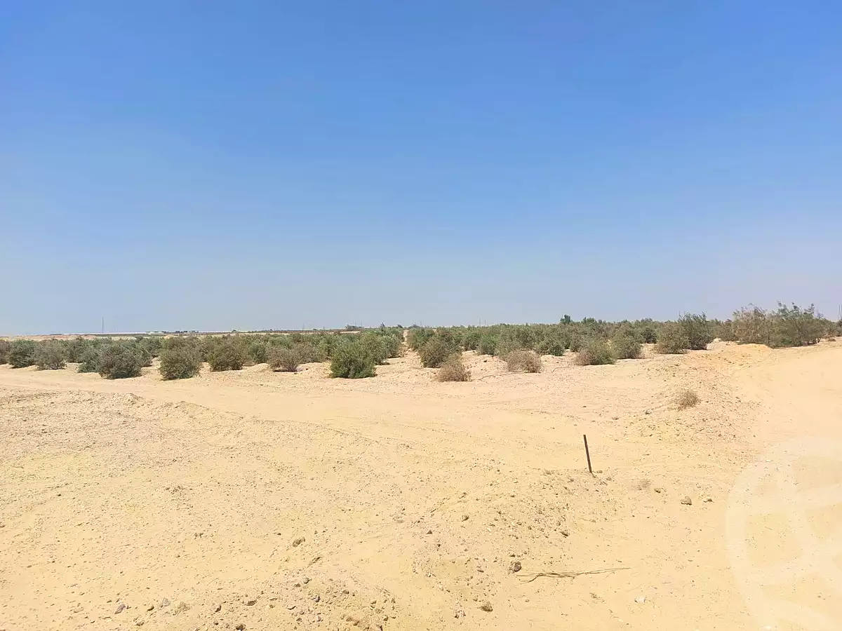 https://aqarmap.com.eg/en/listing/7104084-for-sale-beni-suef-el-wasta-medom