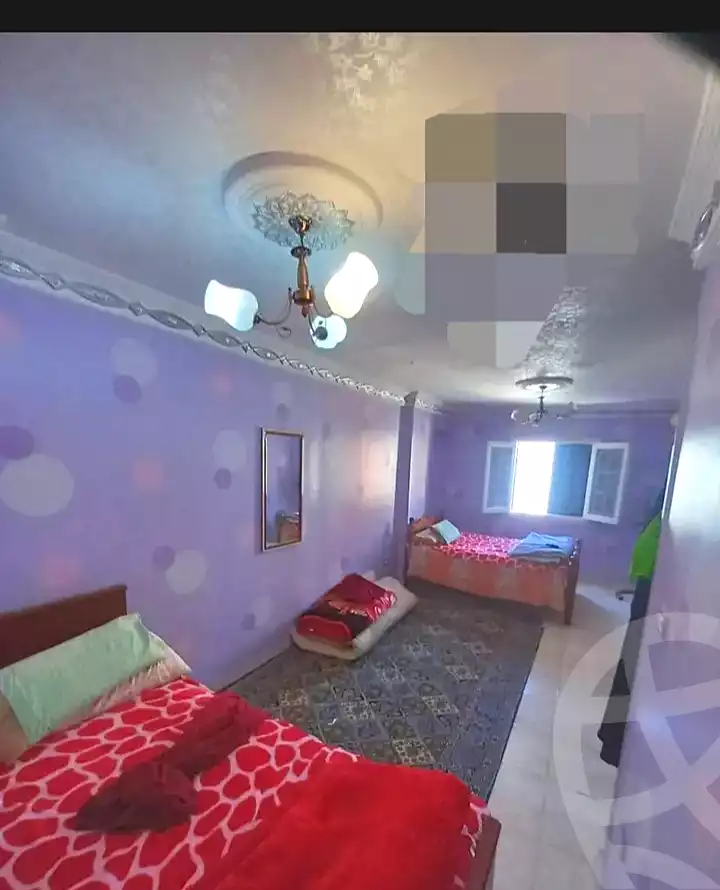 https://aqarmap.com.eg/ar/listing/7106271-for-rent-alexandria-al-agamy-lbytsh-qased-kareem-st