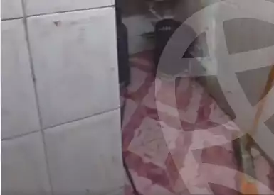 https://aqarmap.com.eg/en/listing/7106562-for-rent-cairo-el-sayyeda-zeinab-omar-khayrat-st