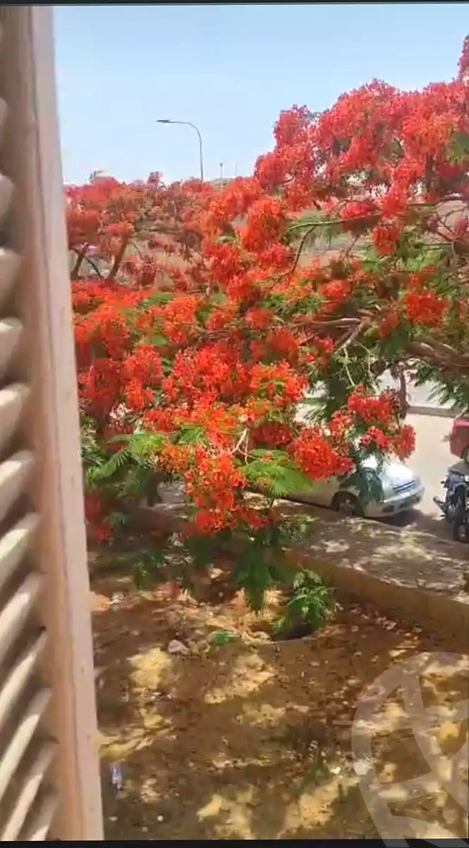 https://aqarmap.com.eg/ar/listing/7106674-for-sale-cairo-new-cairo-el-kattameya-kattameya-road
