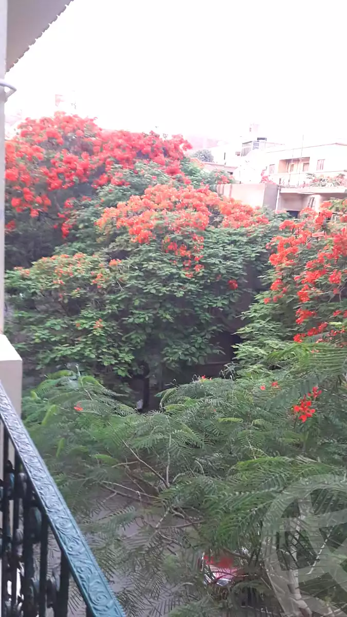 https://aqarmap.com.eg/en/listing/7108153-for-sale-cairo-manial-shr-lkhshyd