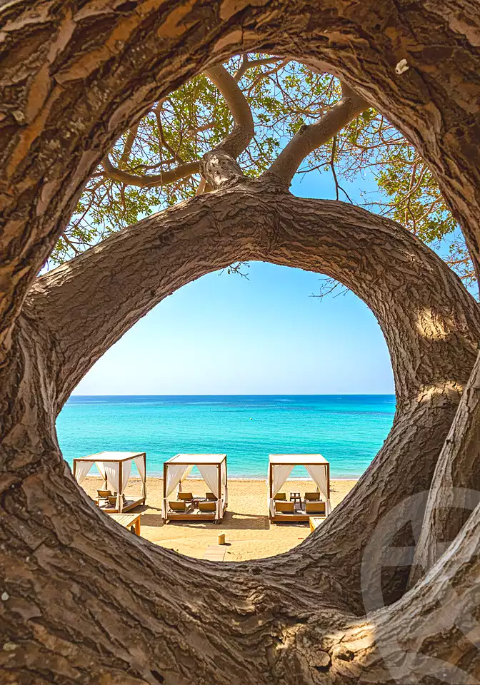 https://aqarmap.com.eg/ar/listing/7108852-for-sale-marsa-matruh-marsa-matrouh-resorts-marsa-baghush-resort-shehab-mazhar