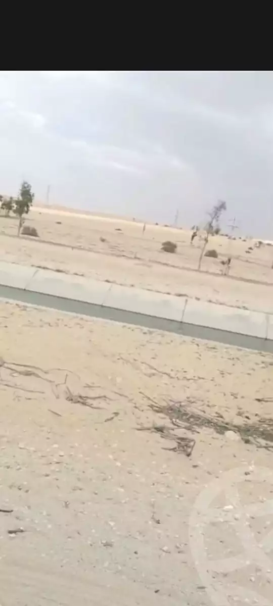 https://aqarmap.com.eg/en/listing/7109658-for-sale-el-minia-mdyn-lmny-el-esmaelya
