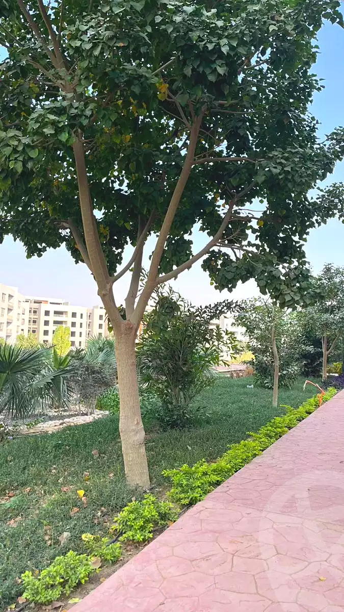 https://aqarmap.com.eg/en/listing/7110458-for-sale-cairo-new-cairo-lmstqbl-syty-compounds-zyzyny-lmstqbl-rdk-llttwyr