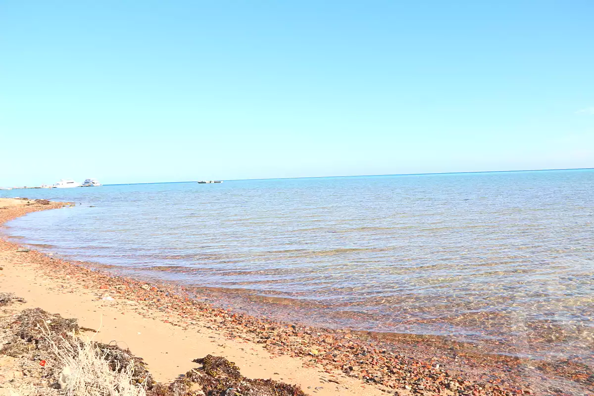 https://aqarmap.com.eg/en/listing/7110858-for-sale-red-sea-el-ahyaa