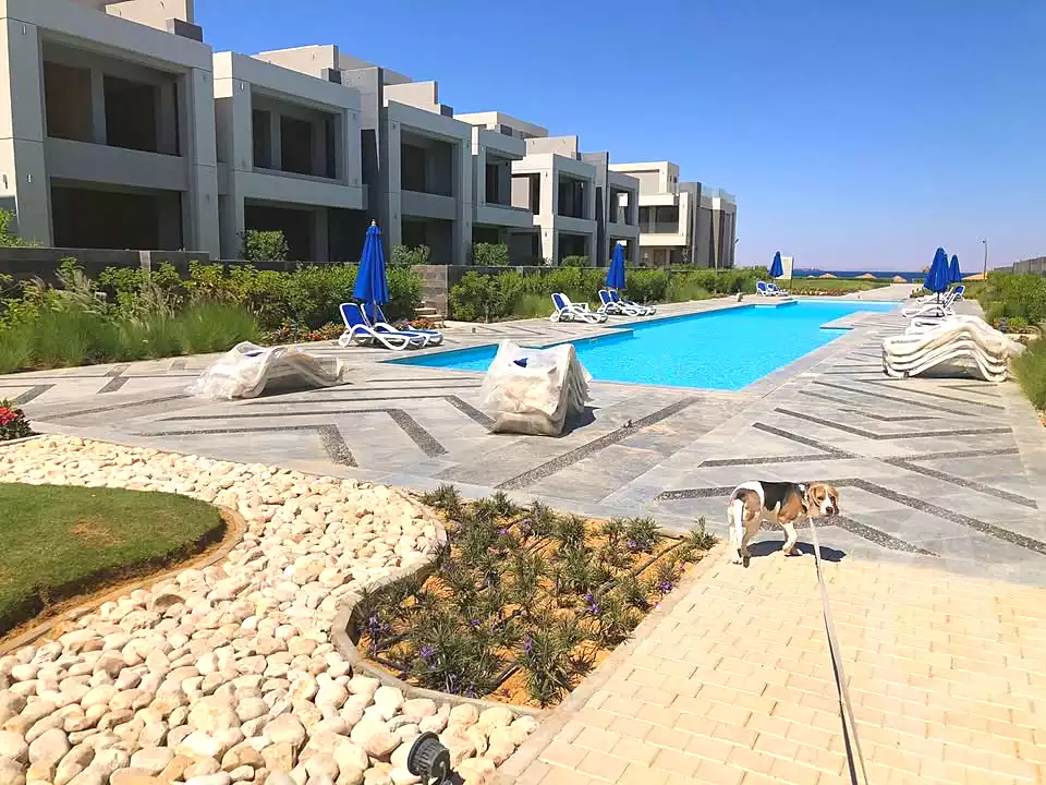 https://aqarmap.com.eg/ar/listing/7114700-for-sale-ain-elsokhna-resorts-la-vista-ray