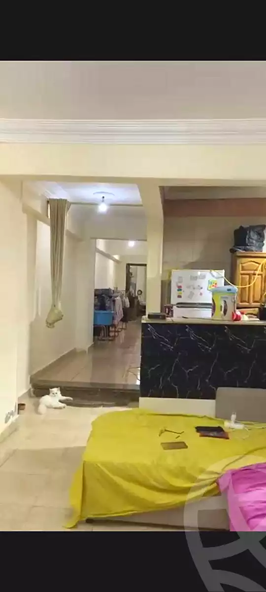 https://aqarmap.com.eg/en/listing/7115163-for-sale-cairo-faisal-el-maryotyah