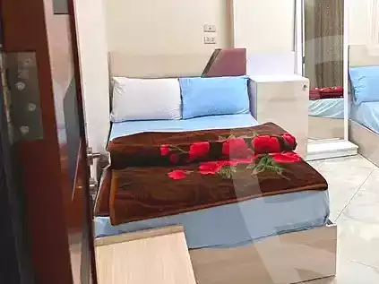 https://aqarmap.com.eg/ar/listing/7115497-for-rent-cairo-manial