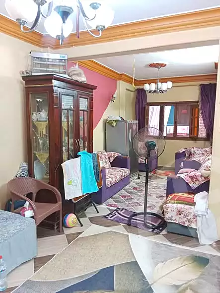 https://aqarmap.com.eg/en/listing/7116723-for-sale-cairo-el-marg