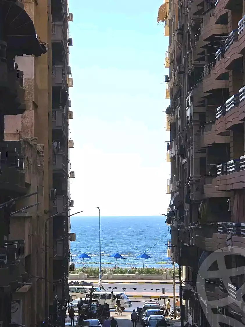 https://aqarmap.com.eg/en/listing/7116883-for-sale-alexandria-el-asafra-l-sfr-bhry