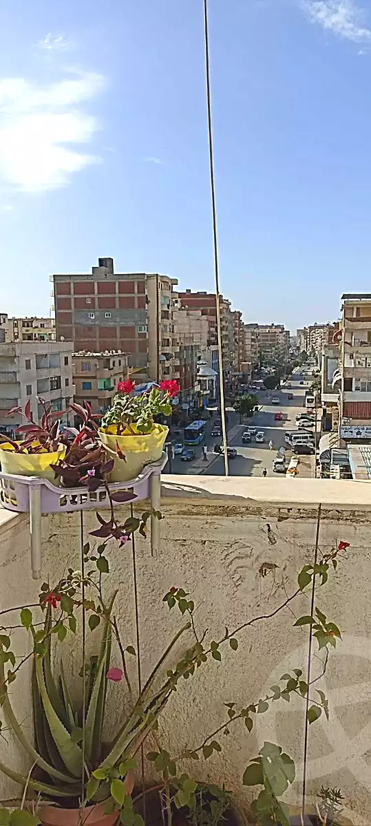 https://aqarmap.com.eg/en/listing/7118061-for-sale-alexandria-alexandria-marsa-matrouh-rd