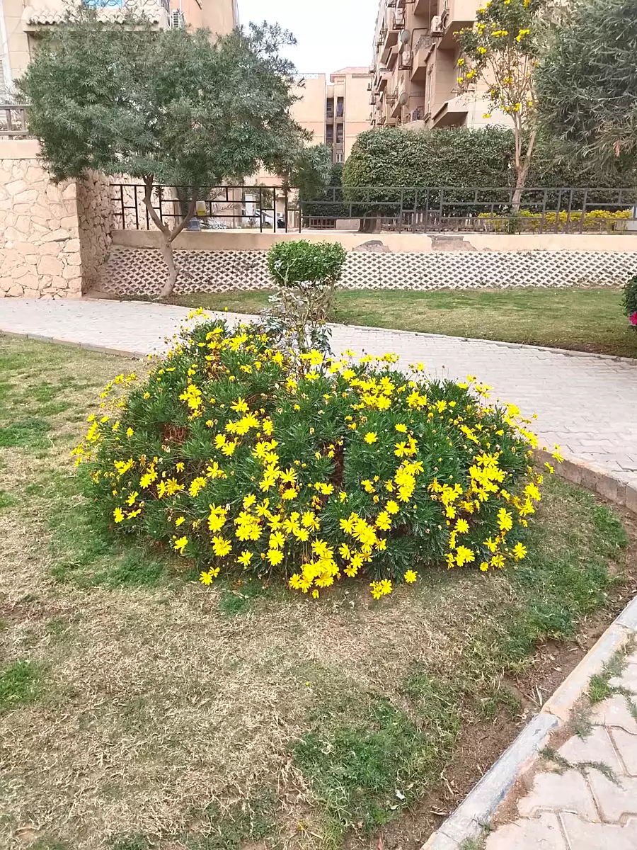 https://aqarmap.com.eg/ar/listing/7118906-for-rent-cairo-new-cairo-compounds-ritaj