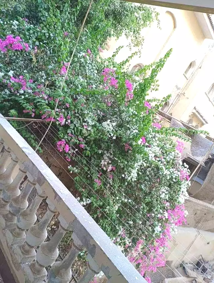 https://aqarmap.com.eg/en/listing/7119765-for-rent-cairo-hadayek-el-ahram-horus-street